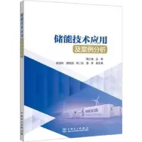 音像储能技术应用及案例分析杨少波,曾四鸣,胡雪凯,等
