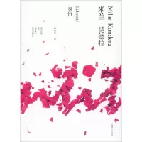音像身份米兰·昆德拉(Milan Kundera)