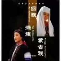 音像云南少数民族图库.壮族张原