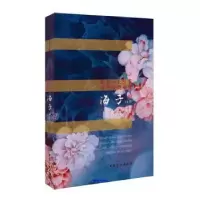 音像天空一无所有,为何给我安慰——海子诗传吴韵汐著