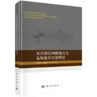 音像页岩储层四维地应力及加密井压裂理论朱海燕,唐煊赫,李扬著