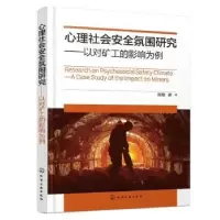 音像心理社会安全氛围研究:以对矿工的影响为例禹敏 著