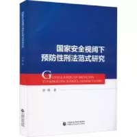 音像安全视阈下预防刑法范式研究胡霞著