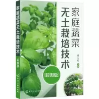 音像家庭蔬菜无土栽培技术(彩图版)徐卫红主编