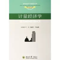 音像计量经济学李思峰,李南,耀国 等编著
