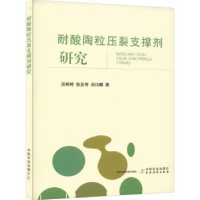 音像耐酸陶粒压裂支撑剂研究吴婷婷,张亚奇,吴伯麟
