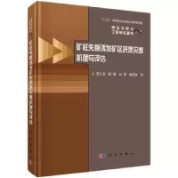 音像矿柱失稳诱发矿区坍塌灾害机理与评估周子龙