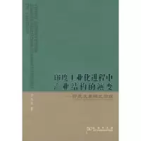 音像印度工业化进程中产业结构的演变任佳
