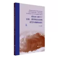 音像水力条件下流体漂浮物及结构物相互作用模拟研究熊焱著