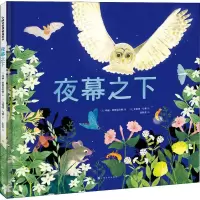 音像夜幕之下(法)玛丽·莱斯克拉特