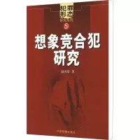 音像想象竞合犯研究赵丙贵