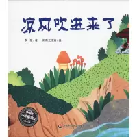 音像凉风吹进来了李想