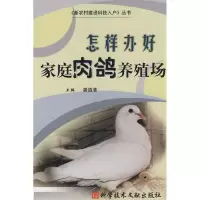 音像怎样办好家庭肉鸽养殖场龚道清