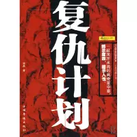音像复仇计划宋晶