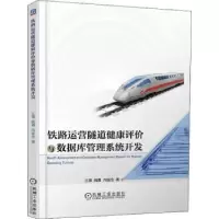 音像铁路运营隧道健康评价与数据库管理系统开发王薇,姚勇,向延念