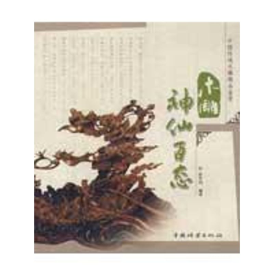 音像木雕神仙百态徐华铛