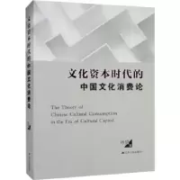 音像文化资本时代的中国文化消费论徐望著