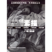 音像素描(4-6级静物篇)/全国素描美术考级艺术院校丛书毛冬华