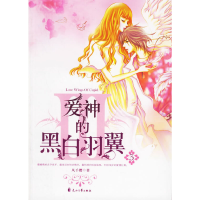 音像爱神的黑白羽翼3(特惠品)风千樱 著