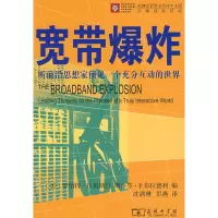 音像宽带(美)奥斯汀,布拉德利 编;沈满琳,彭燕 译