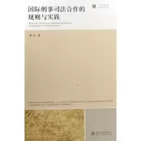 音像国际刑事司法合作的规则与实践黄风