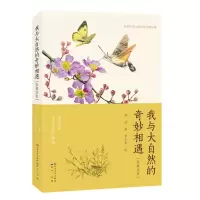 音像发现昆虫/冉浩冉浩/著李小东/绘