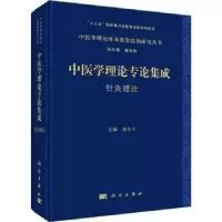 音像中医学理论专论集成 针灸理论赵京生主编