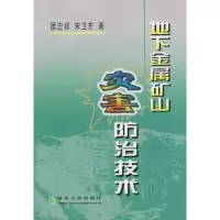 音像地下金属矿山灾害防治技术匡忠祥匡忠祥,宋卫东 著