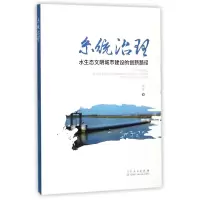 音像系统治理(水生态文明城市建设的创新路径)刘芳