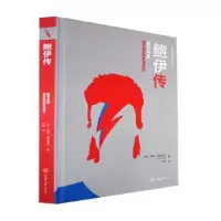 音像鲍伊传(英)利兹·弗拉维尔(Liz Flavell)著