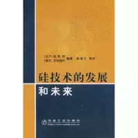 音像硅技术的发展和未来P.希弗特