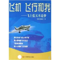 音像飞机飞行和我--飞上蓝天不是梦(美)徐建安