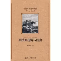 音像中青年刑法学文库—刑法的逻辑与经验曲新久