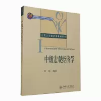音像中级宏观经济学/北京大学经济学教材系列张延