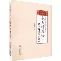 音像毫火针疗技操作安全指南刘恩明