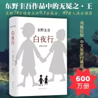 音像白夜行(日)东野圭吾 著;刘姿君 译