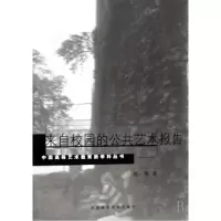 音像来自校园的公共艺术报告/中国高等艺术教育新学科丛书施慧