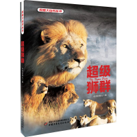 音像狮群非洲的青山