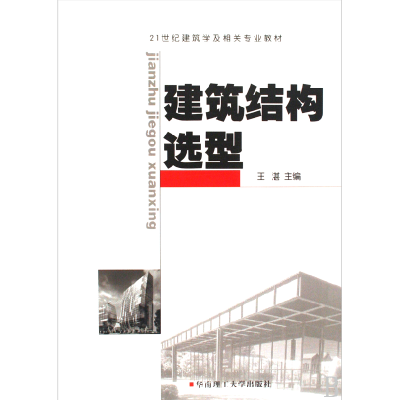 音像建筑结构选型(附光盘21世纪建筑学及相关专业教材)王湛