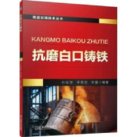 音像抗磨白口铸铁朴东学,平宪忠,宋量