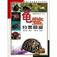 音像龟鳖分类图鉴(精)周婷编
