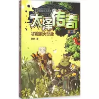 音像大泽传奇徐然 著