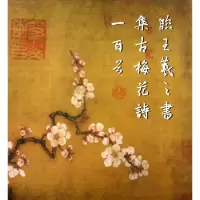 音像临王羲之书集古梅花诗一百首王其祎