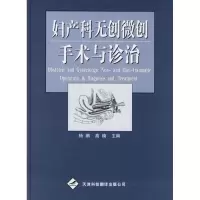 音像妇产科无创微创手术与诊治杨鹂