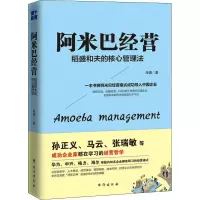 音像阿米巴经营 稻盛和夫的核心管理法冷湖
