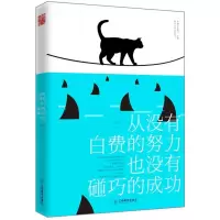 音像从没有白费的努力也没有碰巧的成功王大纯