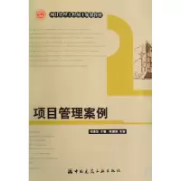 音像项目管理案例(项目管理工程硕士规划教材)何清华
