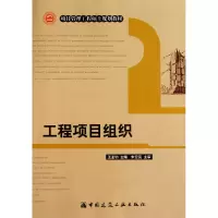 音像工程项目组织(项目管理工程硕士规划教材)王孟钧