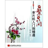 音像删繁就简(单片机入门到精通)/博客藏经阁丛书戴上举