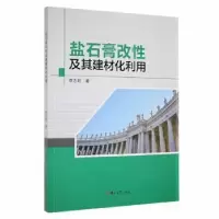 音像盐石膏改及其建材化利用李志新著